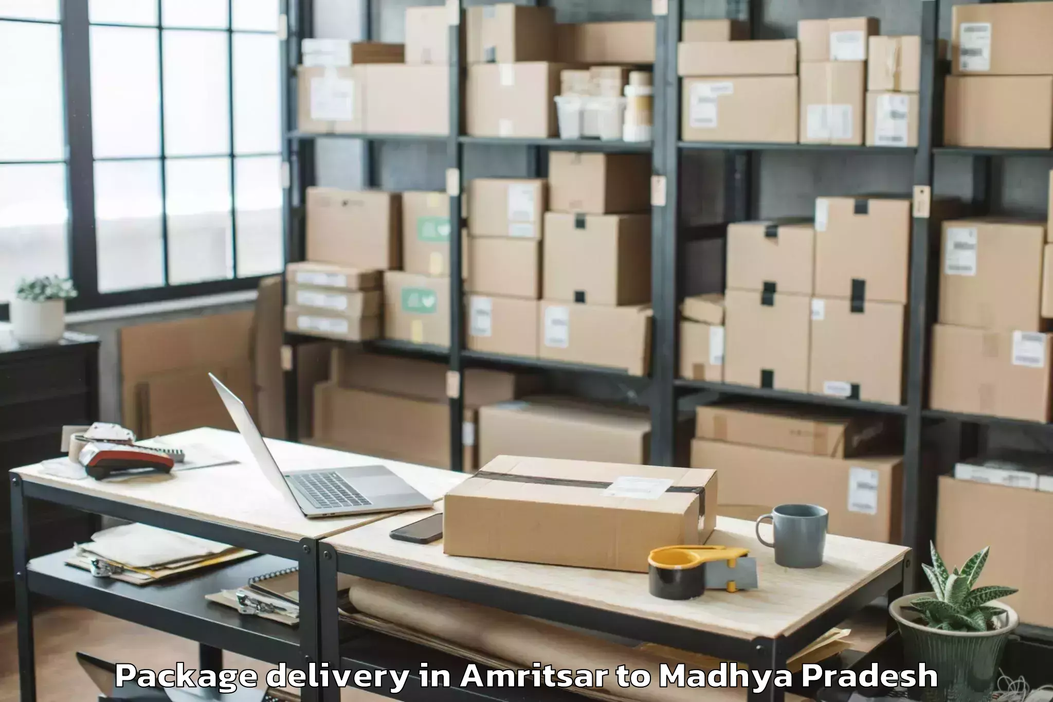 Trusted Amritsar to Barnagar Package Delivery